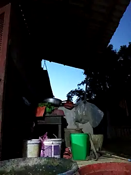 Bibilenu online show from October 2025 11:00:01 AM