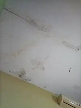 cometa267 online show from October 2025 05:58:02 PM