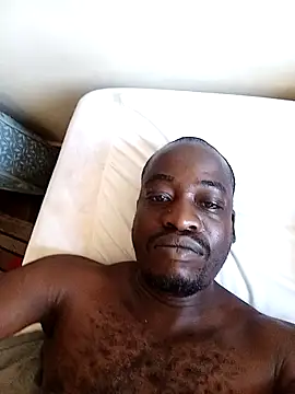 WaiterZim online show from February 2026 08:13:01 AM