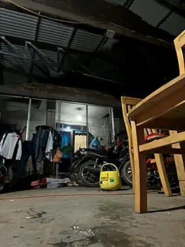 Sunny lotus online show from October 2025 06:52:01 PM