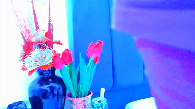 AmbarSmit online show from April 2026 11:07:02 PM