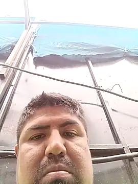 Pamaferto online show from March 2026 12:16:01 PM