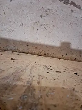 Negodabenga online show from December 2025 11:33:02 PM