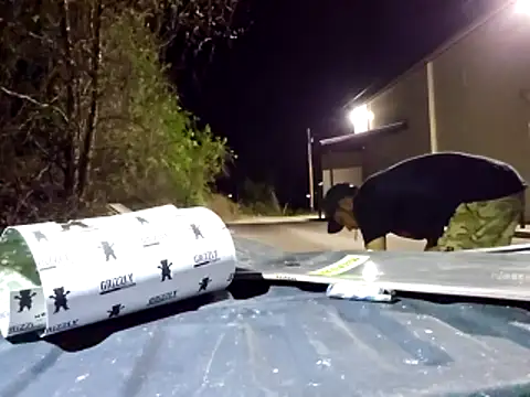 Snapshot of sloppytopkins chatting on April 2026 06:07:02 AM sloppytopkins online show from April 2026 06:07:02 AM