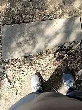 indian pavi online show from January 2026 05:55:01 AM