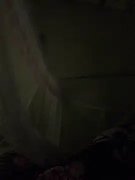 NhuFox online show from November 2025 02:17:02 PM