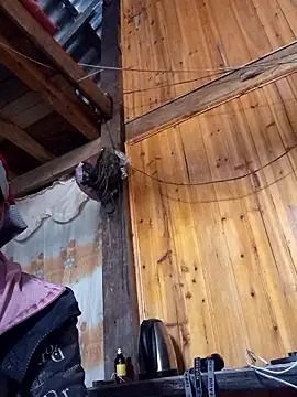 TinTin321 online show from November 2025 05:41:01 AM