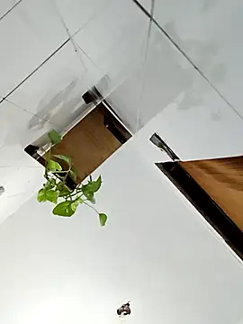 Rodrigo99 9 online show from April 2026 04:12:02 PM