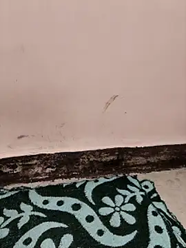 Indian-Aleena online show from April 2026 01:41:01 PM