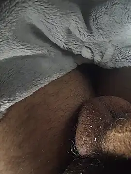 ratoncito 3 online show from May 2026 10:47:02 PM