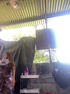 wildpussycat69 online show from April 2026 01:39:01 AM