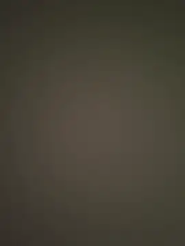 midravelta online show from October 2025 06:54:01 AM