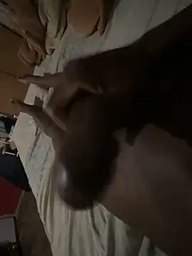 Snapshot of Dickey-B-RSA chatting on November 2025 02:54:01 AM Dickey-B-RSA online show from November 2025 02:54:01 AM