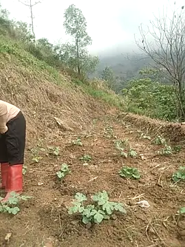 opna43 online show from April 2026 02:37:02 AM