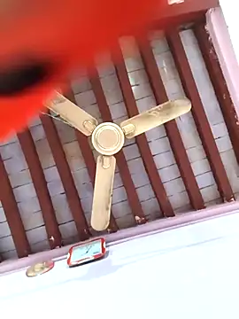 Love-pari077 online show from February 2026 02:33:01 PM