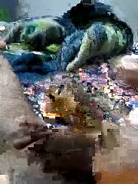 Snapshot of sitonmycock_ chatting on October 2025 09:01:01 PM sitonmycock online show from October 2025 09:01:01 PM