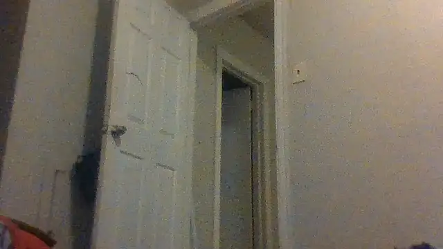 Velvetraexo online show from June 2026 01:41:01 AM