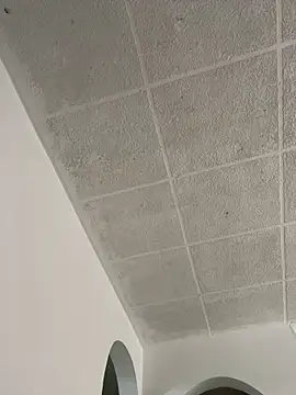 LICEET online show from September 2025 03:27:02 PM