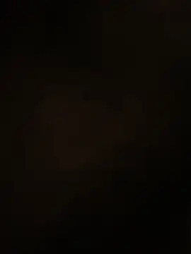 amitsharma7868 online show from March 2026 07:48:02 AM