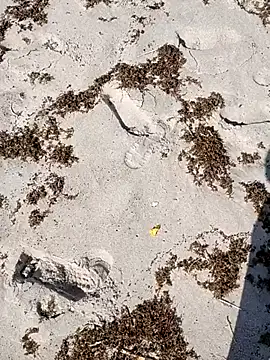 sarahkat86 online show from October 2025 02:37:01 PM