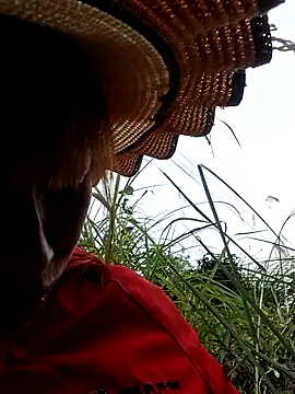 ngocngoc cute online show from January 2026 06:19:01 AM