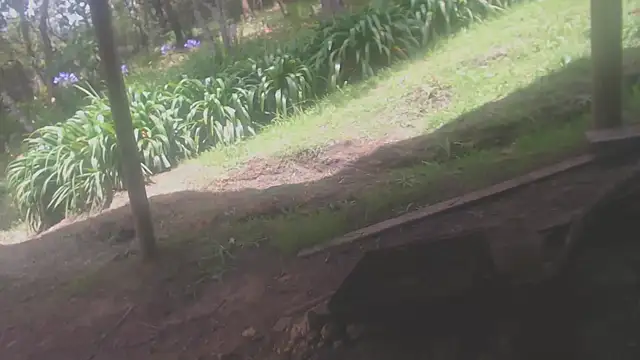 habdiela online show from April 2026 04:06:02 PM