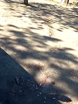 bullut06 online show from September 2025 06:38:01 AM