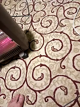 bullut06 online show from April 2026 05:46:02 PM