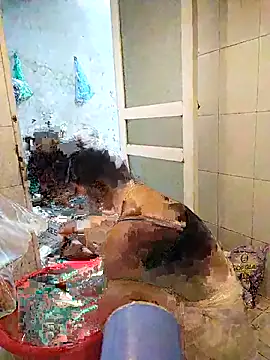 naop04 online show from October 2025 11:16:01 PM