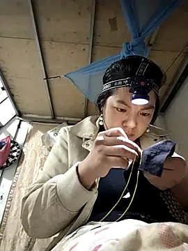 naop04 online show from November 2025 12:24:02 AM