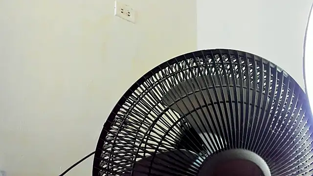 David niet online show from November 2025 06:18:01 PM