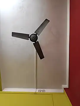 susmicpl online show from February 2026 05:29:01 PM