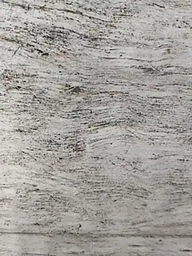 hot plak online show from December 2025 05:08:02 PM