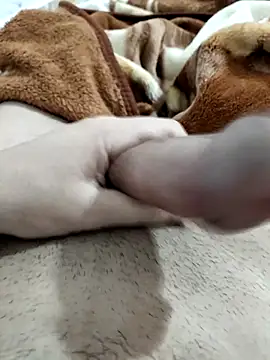 Zepe 12 online show from February 2026 08:40:02 AM