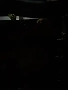 meralund9inch online show from April 2026 01:41:02 PM