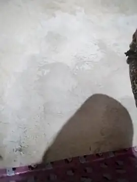 big booty15 online show from October 2025 02:32:01 AM