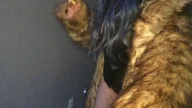 Stevey5894 online show from November 2025 05:28:02 PM