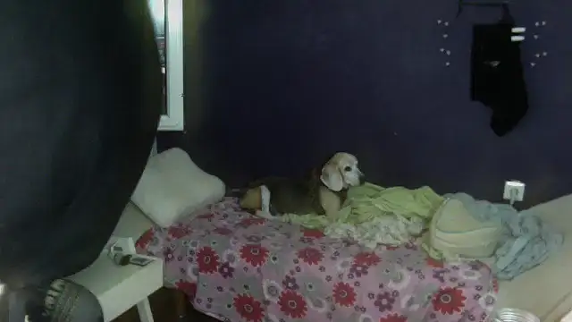 turkishTransEfsun online show from September 2025 01:11:02 PM