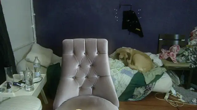 turkishTransEfsun online show from December 2025 01:40:02 PM