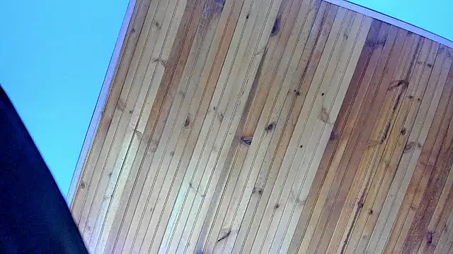 Angel kanon online show from February 2026 12:28:02 PM