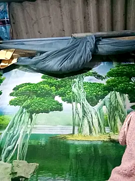 MaiHoa69 online show from November 2025 02:57:02 PM