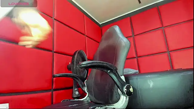 damian bull online show from February 2026 01:07:02 PM