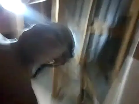 BigAssjuicy26 online show from October 2025 10:14:02 PM