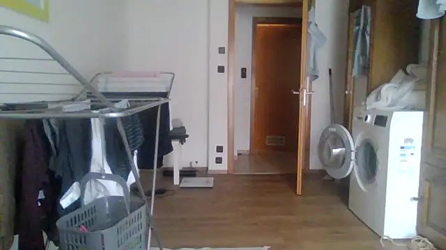 XLBarehengst online show from February 2026 01:20:02 PM