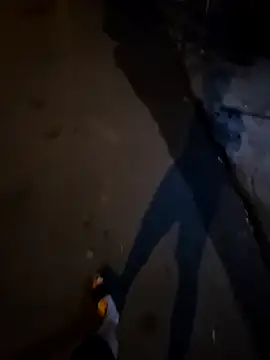 Kunbet online show from April 2026 04:25:01 PM