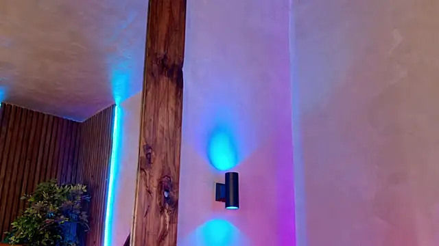 kaylie mitchel online show from February 2026 04:19:02 PM