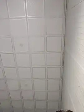 onao7 online show from April 2026 03:37:01 AM