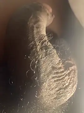 bbc59 online show from April 2026 09:39:01 PM