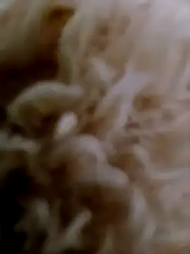 Snapshot of hanan-sex chatting on November 2025 07:28:01 PM hanan-sex online show from November 2025 07:28:01 PM