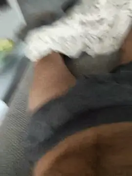 hansvonerotic1 online show from December 2025 11:59:01 AM